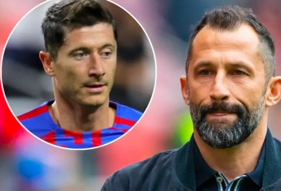 获得了可观 获得了可观