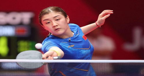 未来会更加 未来会更加