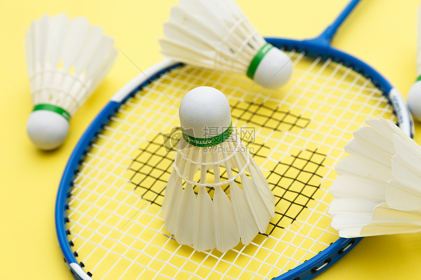 的下一章 的下一章