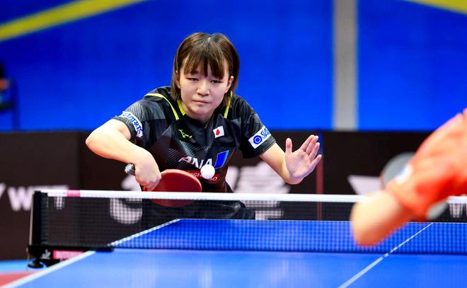 壮丽的真实 壮丽的真实