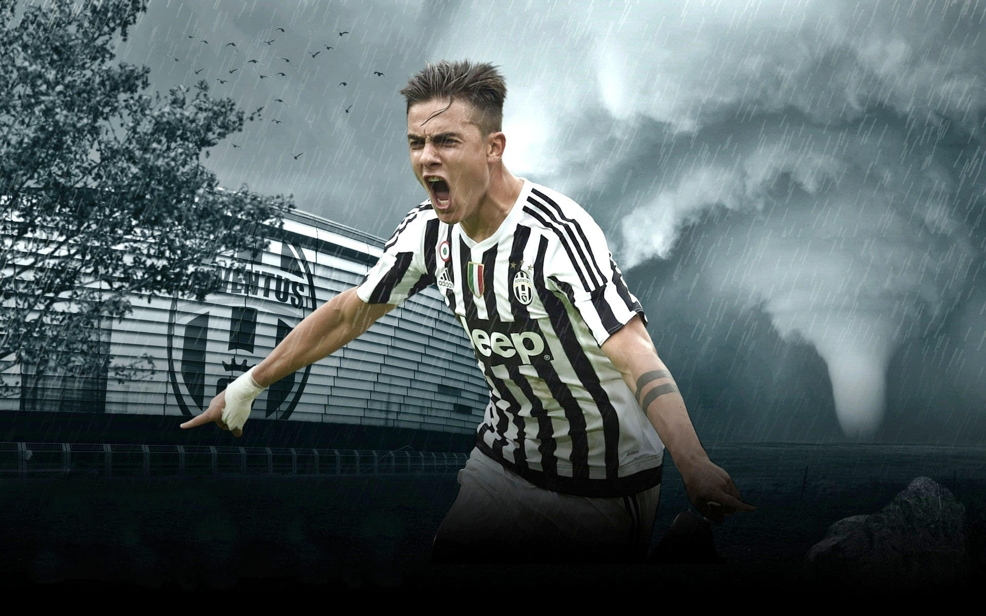 配观众的文 配观众的文